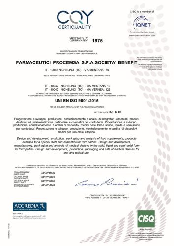 ISO 9001 2015 Pagina 1